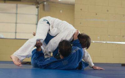 Online Educational Campaign – Benefits from Inclusive Judo