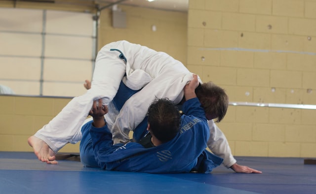 Online Educational Campaign – Benefits from Inclusive Judo